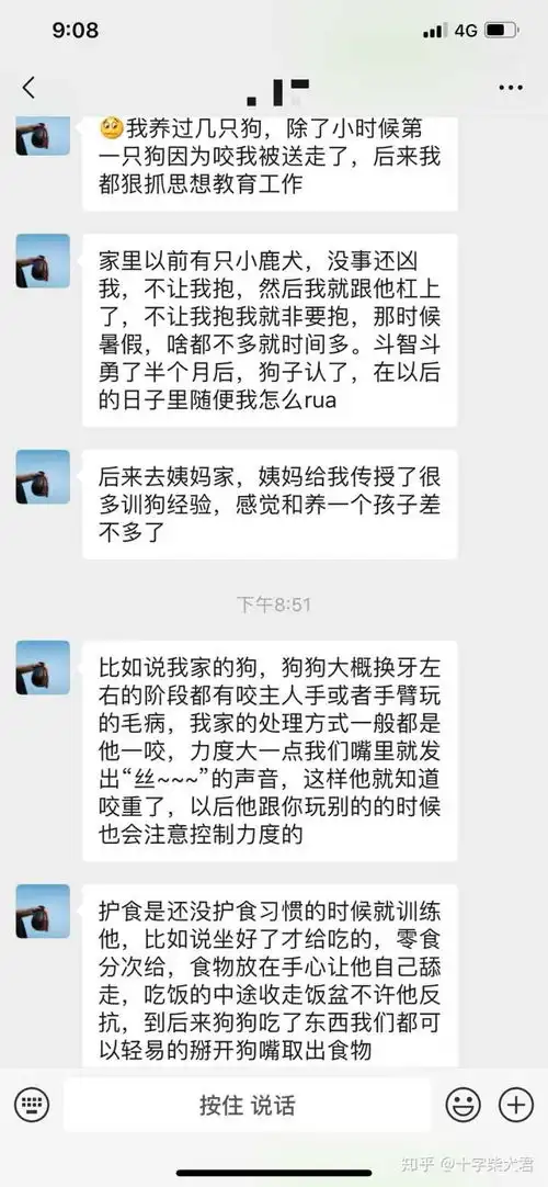 表情购买柴犬如何防骗怎么样识别黑心犬舍表情
