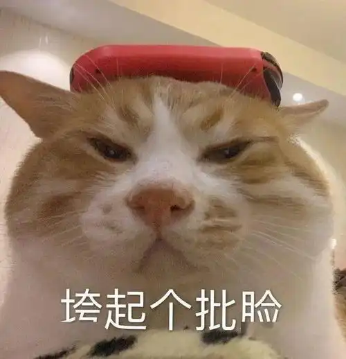 沙雕表情包摆地摊秘籍
