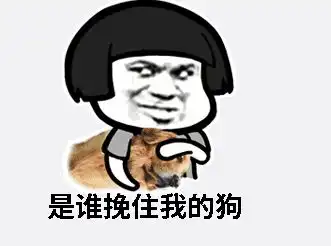 抖音是谁挽住我的狗表情包大全下载完整版表情包高清无水印下载
