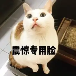 住手千万别给你家喵主子喂这些水果
