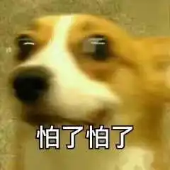 汪星人表情包合集恶龙咆哮,嗷呜
