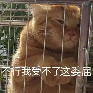 轻松一刻买个洛丽塔裙,营养差点跟不上
