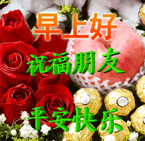 不用打字聊天温馨可人的早上好表情包春日清晨早安问候动态美图
