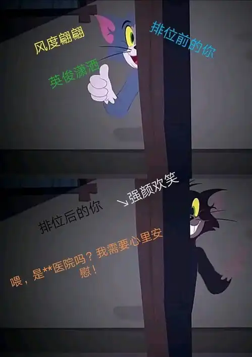 当猫和老鼠看到自己的表情包时二十二

