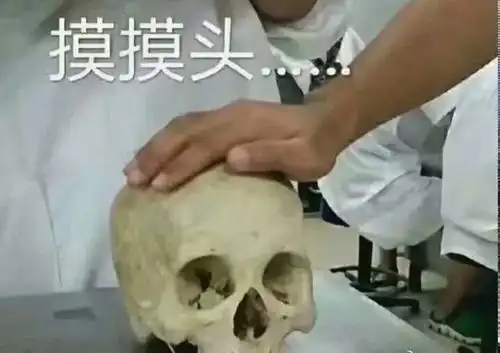 医学生的情书真是太硬核了哈哈哈哈