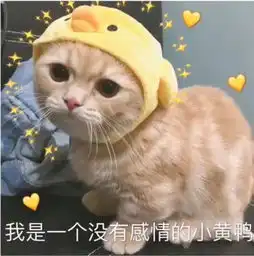 你看别人家的选修课
