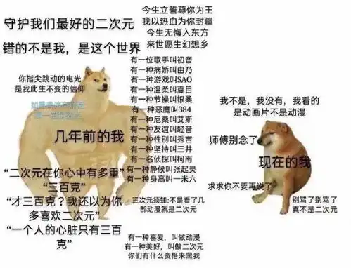 二次元萌新和二次元大佬的区别
