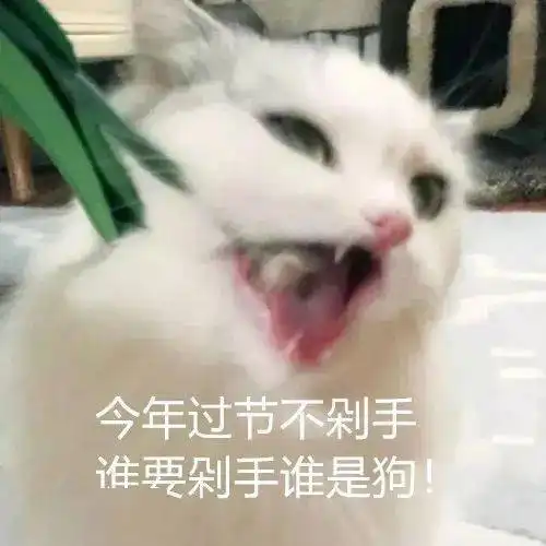 一份双11不剁手攻略送给你
