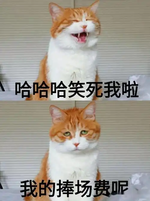 笑掉大牙海底捞的服务确实没话说
