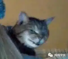 变态综艺,隆过胸的姑娘照led灯,网友贾奶亮
