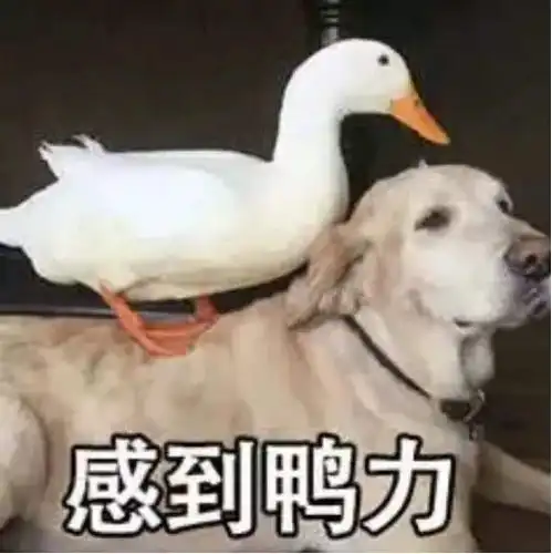 贵州公考和事业单位有了哪些新动向和好政策快来看看
