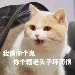 表情包确认过眼神,是惹不起的人
