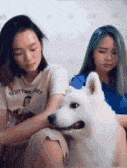 gif趣图哥们,你是蓝翔的校长吧
