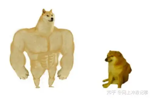 活在你表情包里的神烦狗doge,本体现在过得怎么样
