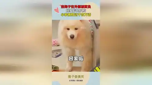 狗子表情包出处欺负
