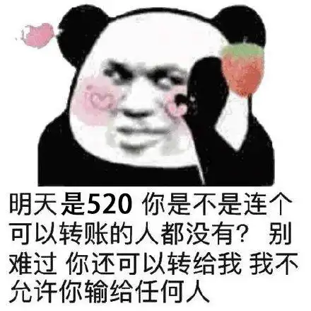 520专用表情包别难过,我不允许你输给任何人,你可以转账给我

