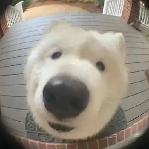 来猜人啊猜对的小事儿
