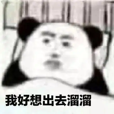 受台风环高影响,海南环岛高铁已停运,三亚多架次航班取消
