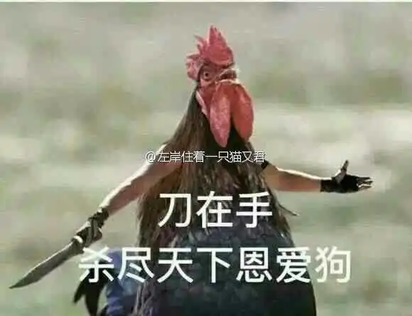 有哪些你觉得好用的表情图
