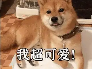 双眼皮贴用久了能变成真正的双眼皮你怕是还活在梦里
