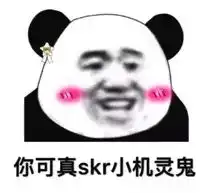 skr,那是个啥
