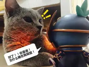 鬼将碰逗猫梦幻西游手游猫主子与小鬼将的故事
