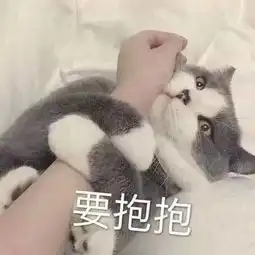 搜狐