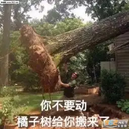 崩盘定心丸图片生活我表情包下载乐游网游戏下载

