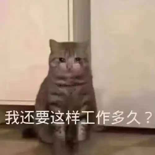 越级享受,这才是8万级小型suv中的最优之选

