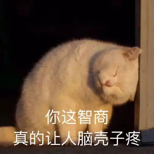 表情包哪来的野鸡给自己加戏
