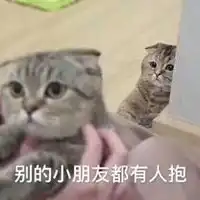 哄女朋友的聊天表情包
