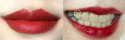 赵丽颖自曝最有feel的接吻对象,旁边的胡歌霍建华表情亮了
