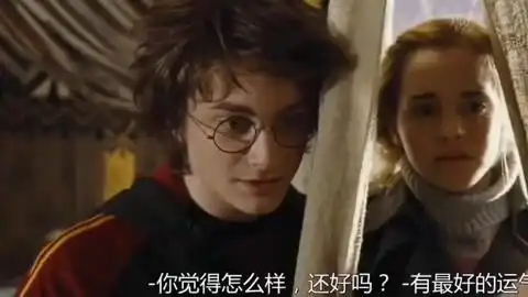 哈利波特与赫敏
