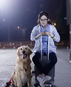 赵丽颖女汉子亲密抱爱犬呆萌表情神同步

