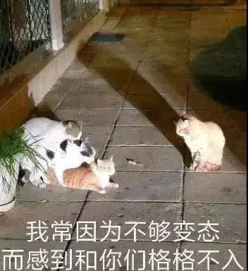 小伙子车速慢点,我腰不好...
