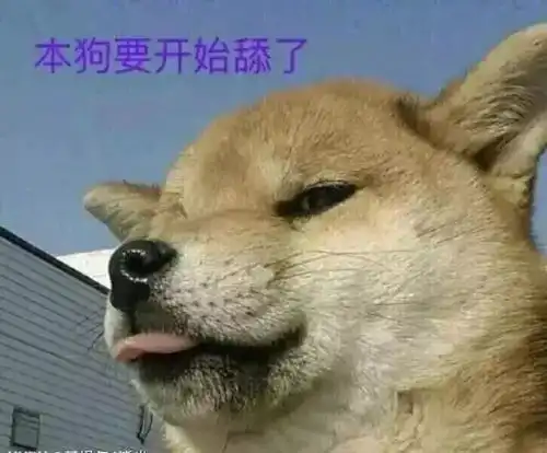抖音热门表情包一个人的夜我的心应该放在哪里
