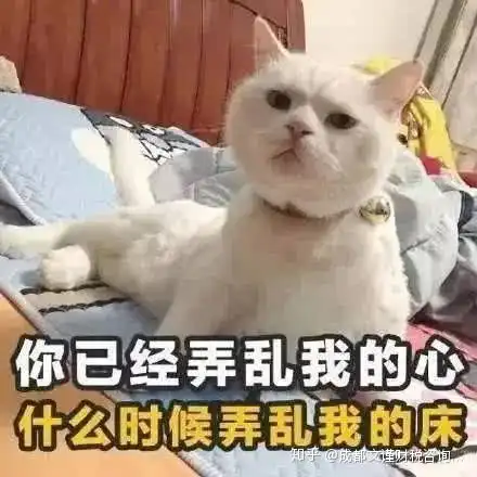 成都烟草专卖零售许可证办理流程
