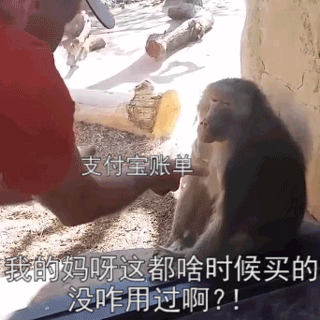 吐槽支付宝年度账单的表情包合集我有这么多钱吗我怎么不知道
