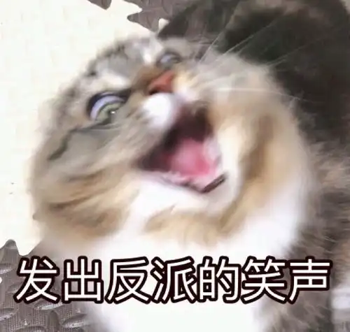 猹总
