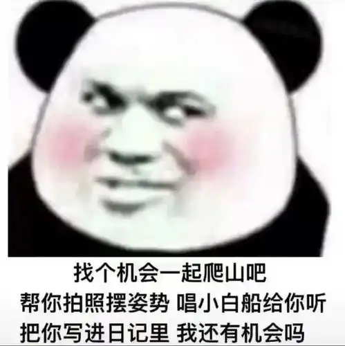 熊猫头表情包依旧被困单身牢笼