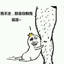 抱大腿表情包
