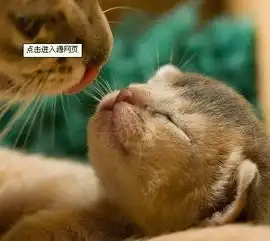 微博控控微博微博控控微博
