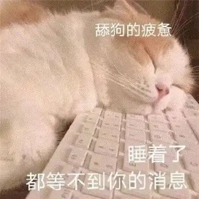 新版超级酷的可爱猫猫表情包高清无水印的可爱猫咪表情大全2021最新
