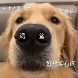 你成为2020年国考炮灰的概率有多大
