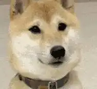 这就是传说中的桃园三结义么能不能加我一个啊哈哈哈

