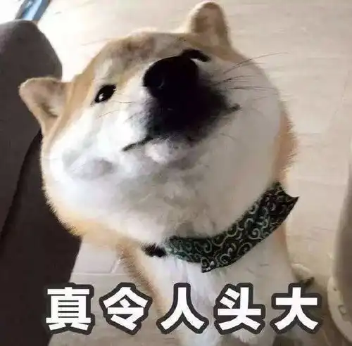 因为疫情导致深圳户口延期办理,令人头大
