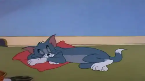 猫和老鼠汤姆见到主人的机器猫狂笑不已,杰瑞被机器猫玩坏了

