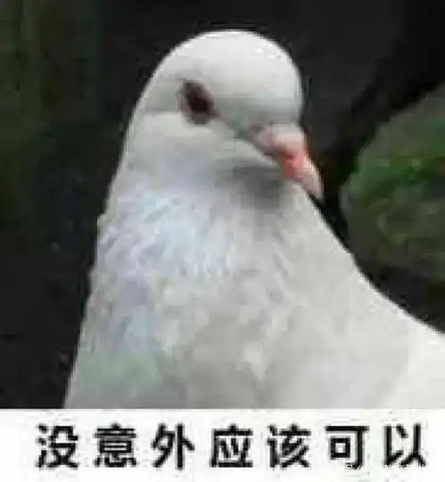 那些消失在朋友圈的保研边缘人
