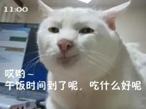 周末趣图傲娇萌宠的蠢萌时刻
