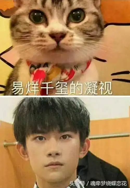 别人撞衫,易烊千玺撞脸,这7张表情包实在太可爱了
